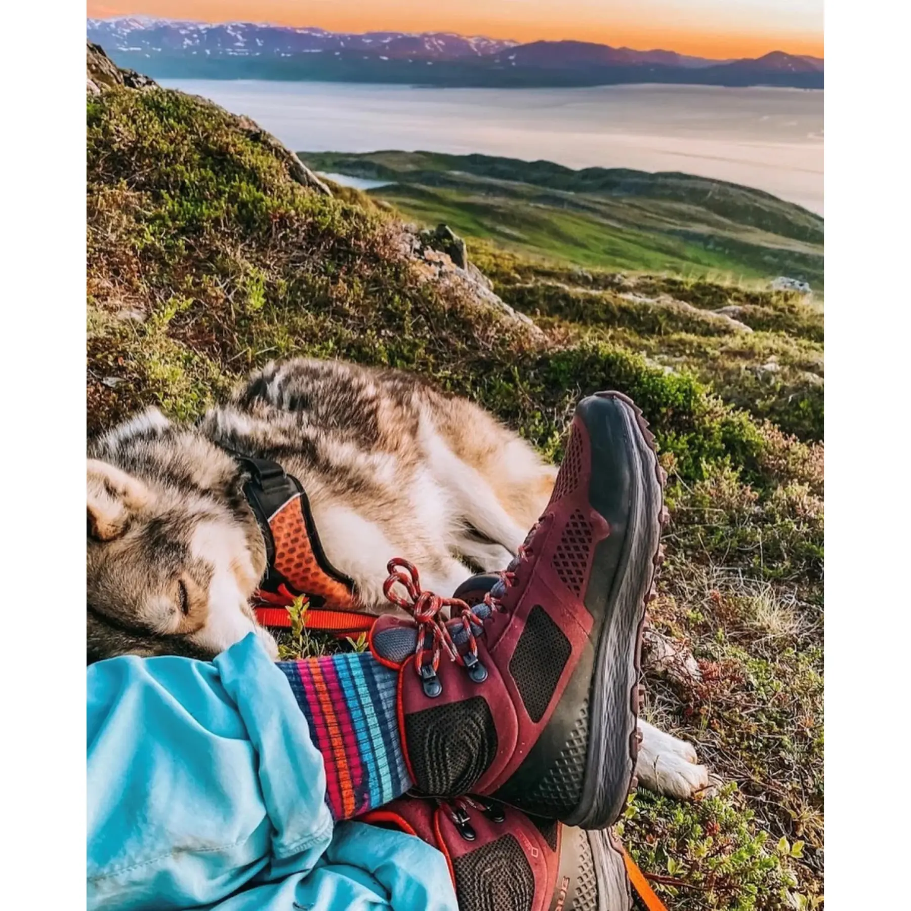 Women's hiking shoes Vasque Breeze LT GTX | Trek-Expert
