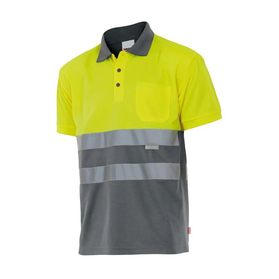 Sichtbares Polo Velilla