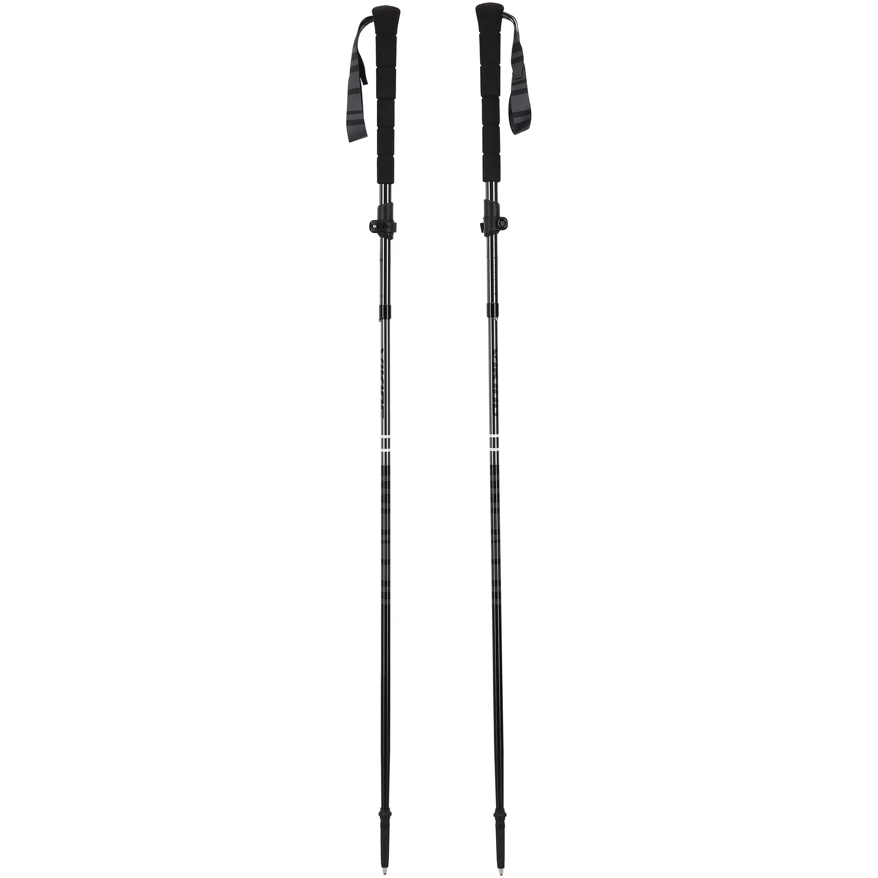 Wanderstock Viking Kettera Pro