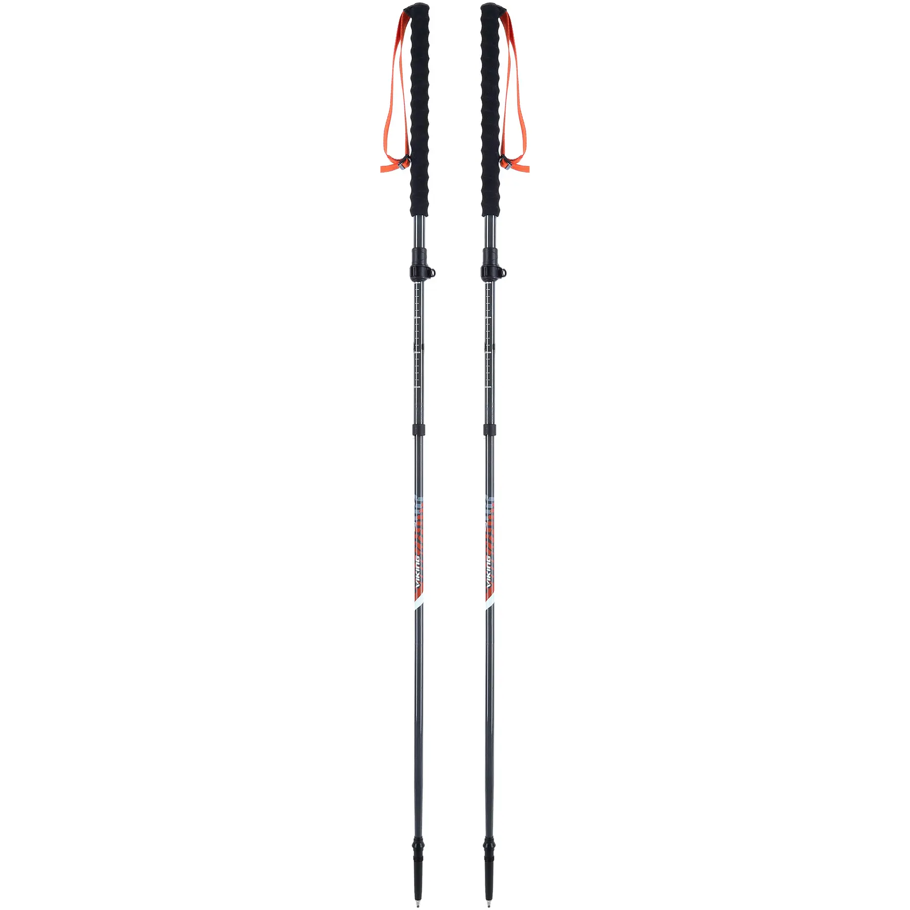 Wanderstock Viking Mission FS
