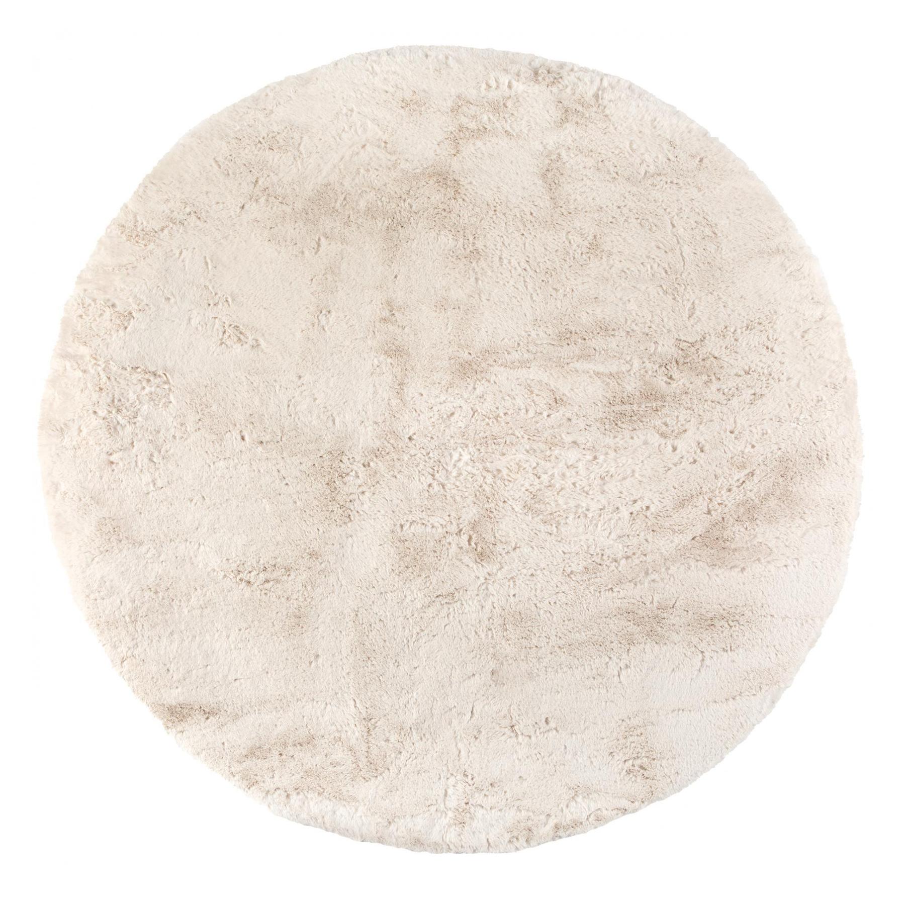 3210801680036 - Wohnzimmerteppich Eddy