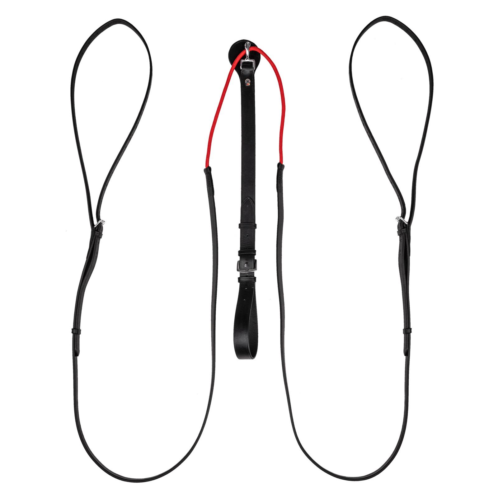 Redini per cavalli Waldhausen W-trainRein