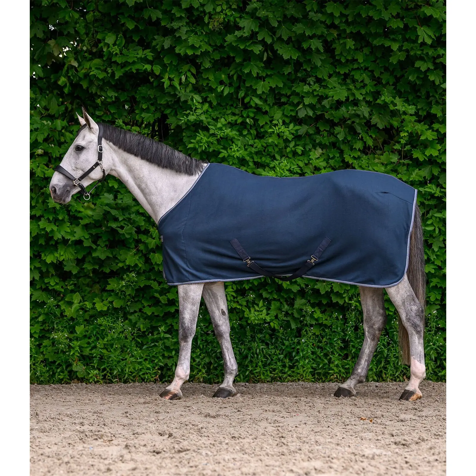 Comparer les prix de Couverture polaire pour cheval avec sangles croisées Waldhausen Economic