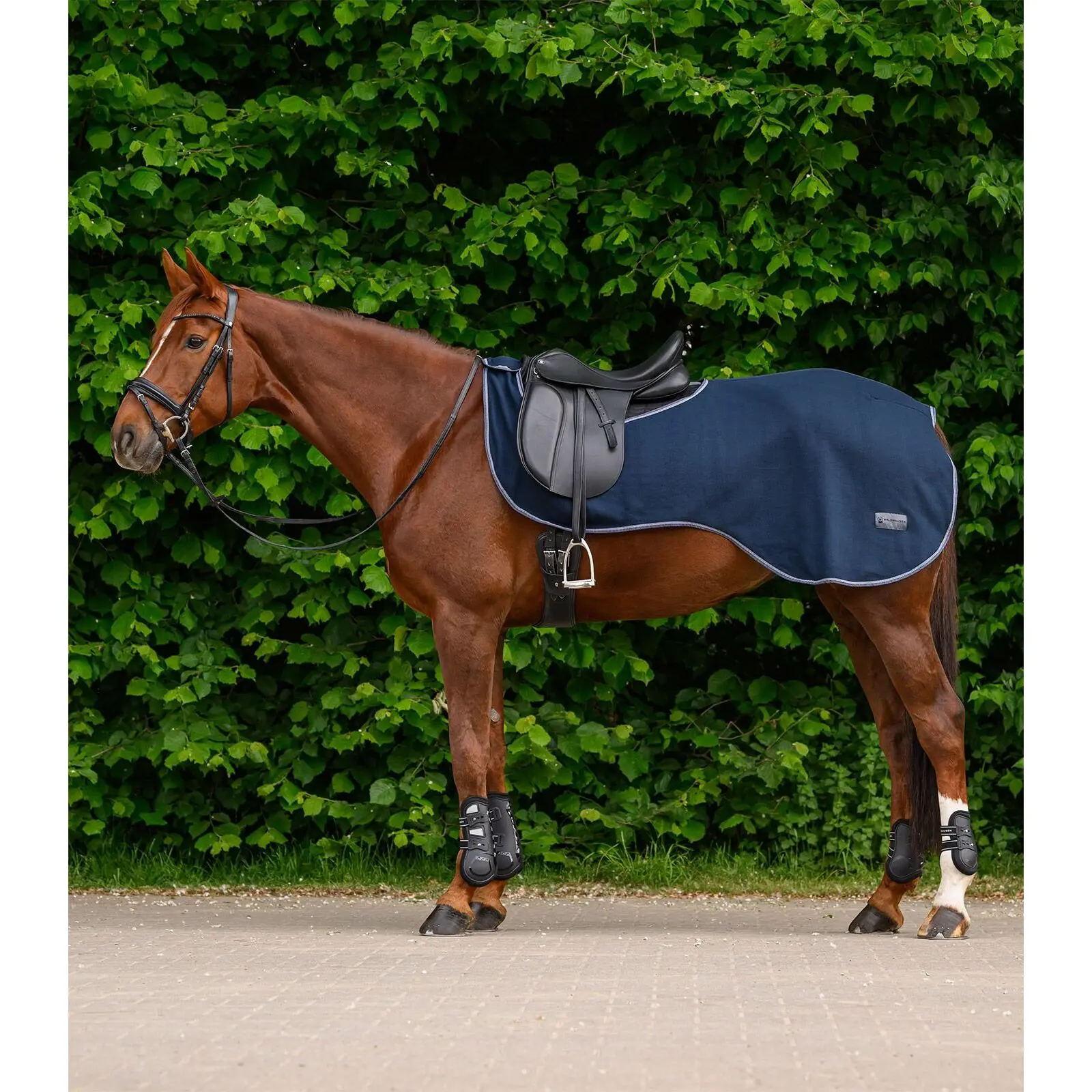 Meilleurs prix pour Chemise polaire pour cheval Waldhausen Economic