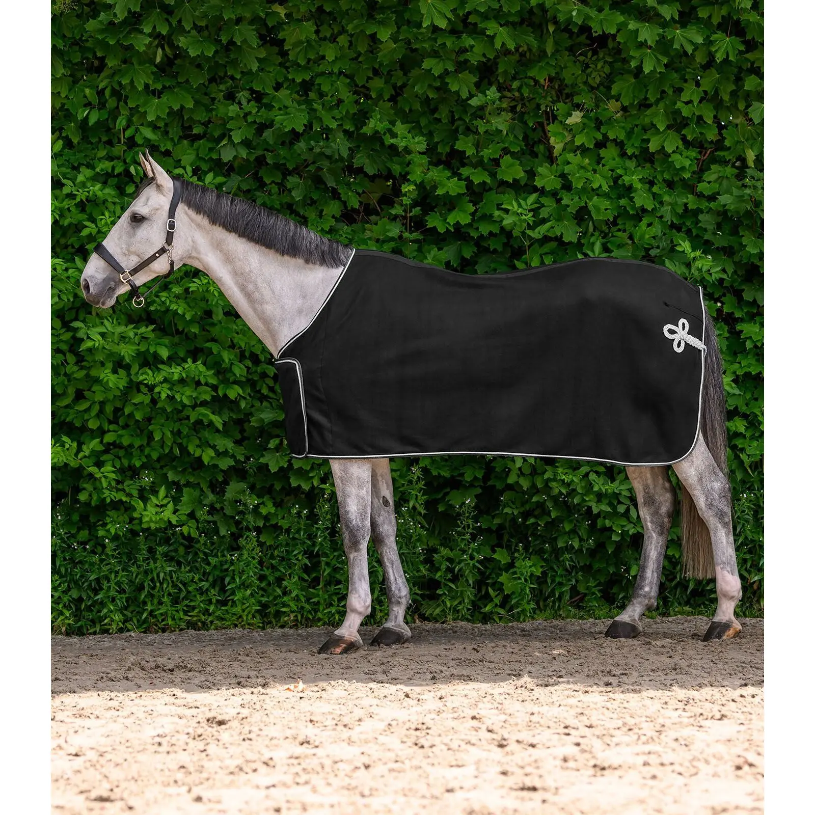 Meilleurs prix pour Couverture polaire pour cheval Waldhausen Economic Sponsor