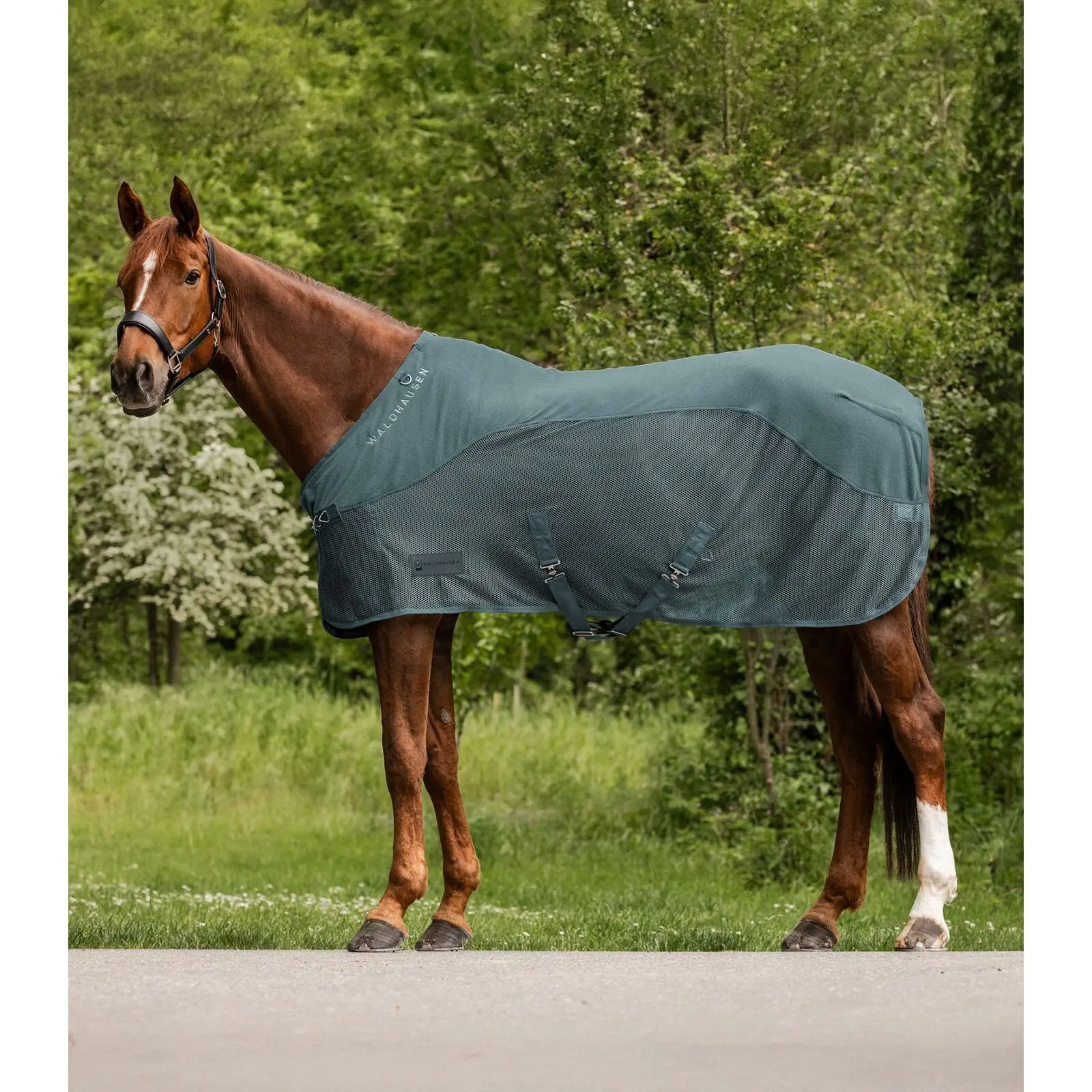 Comparer les prix de Couverture polaire anti-mouches pour cheval Waldhausen Comfort