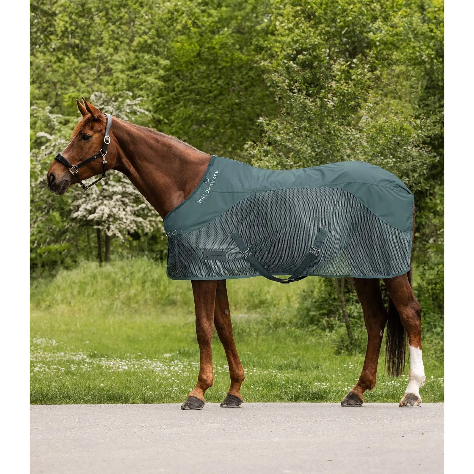 Comparer les prix de Couverture polaire anti-mouches pour cheval Waldhausen Comfort