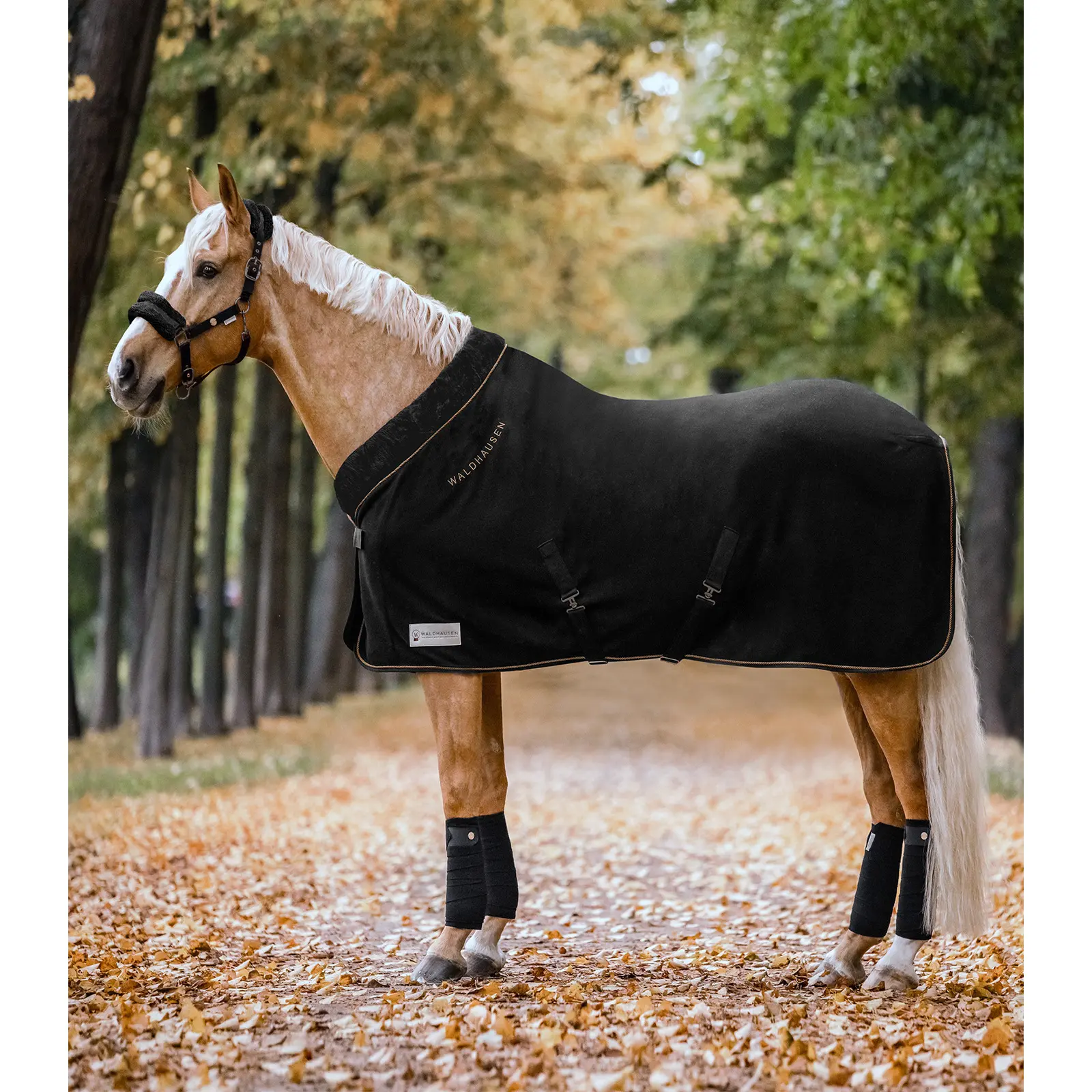 Comparer les prix de Couverture polaire pour cheval Waldhausen Modern Rosé