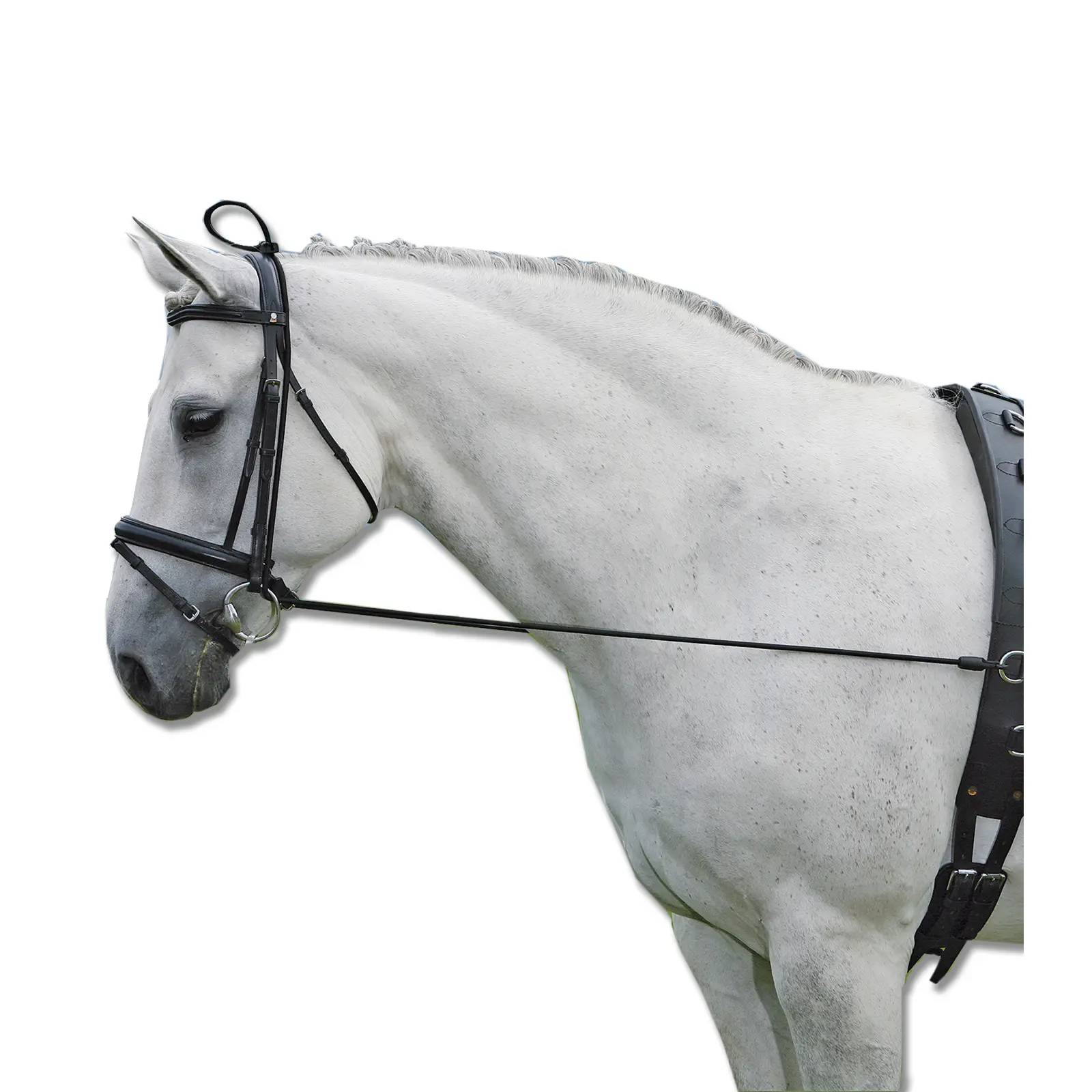 Meilleurs prix pour Enrênement élastique pour cheval Waldhausen