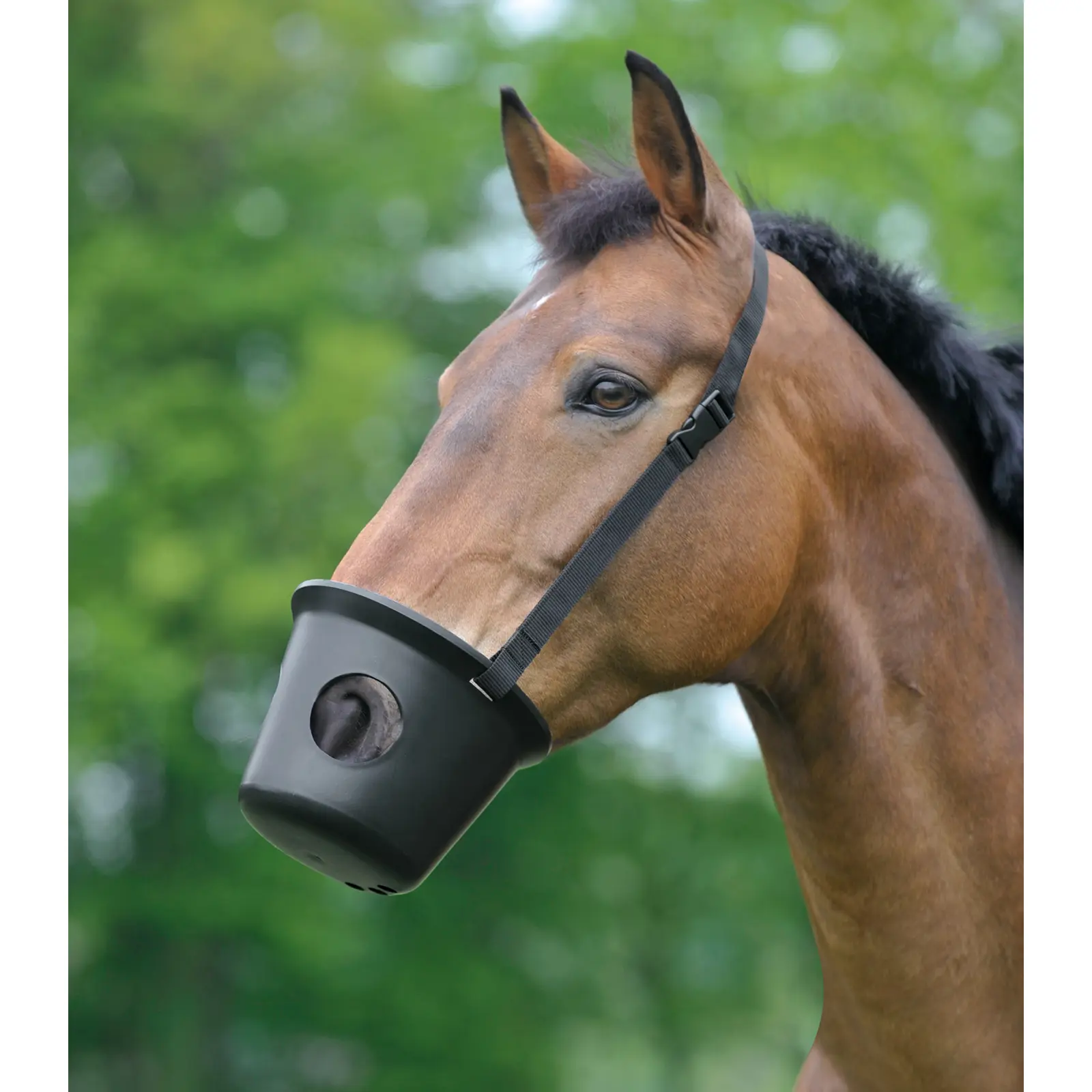 Comparer les prix de Muselière pour poney anti-colique Waldhausen