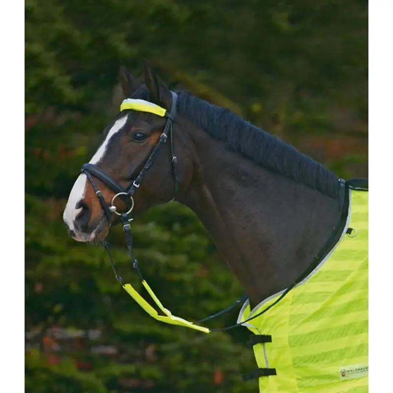 Waldhausen Jaune Saddle Accessories Reflex (X3)
