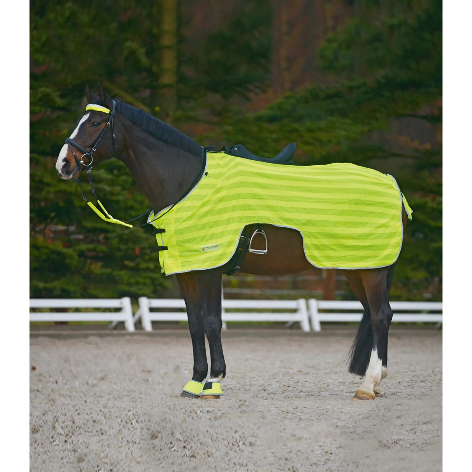 Waldhausen Vert Reflective Blanket