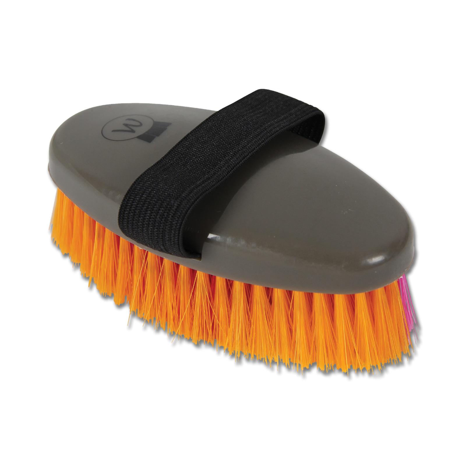 Meilleurs prix pour Brosse pour cheval avec présentoir de vente Waldhausen (x12)