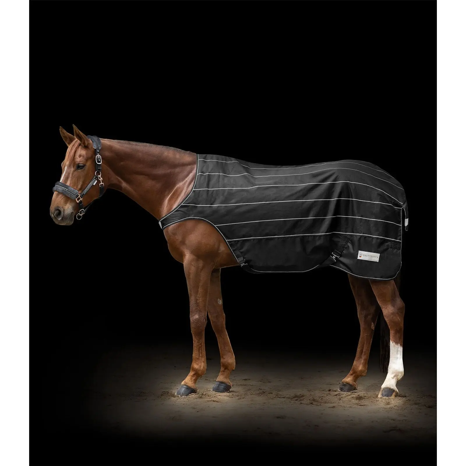 Waldhausen Noir Walker Blanket Reflex
