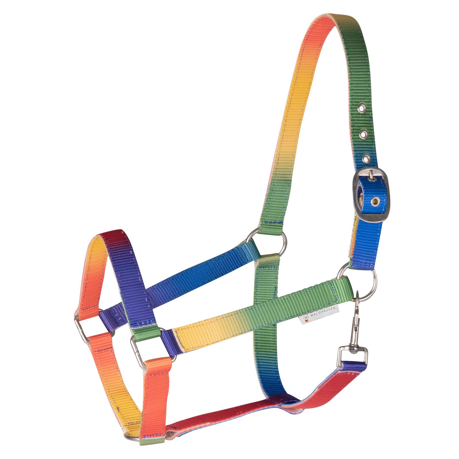 product/w/a/waldhausen_501099-pon_neon-multicolor_1.jpg