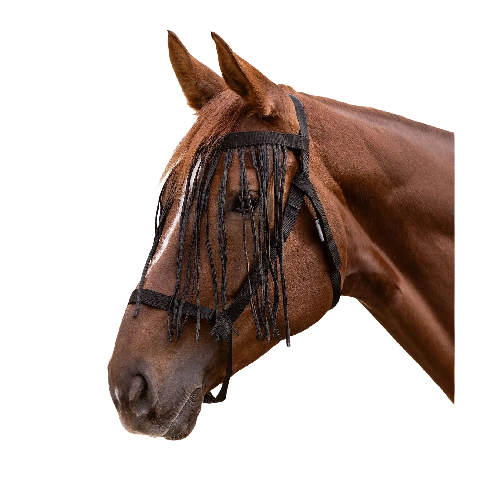 Waldhausen Noir Pasture Halter With Anti-Fly Fringes For Horses