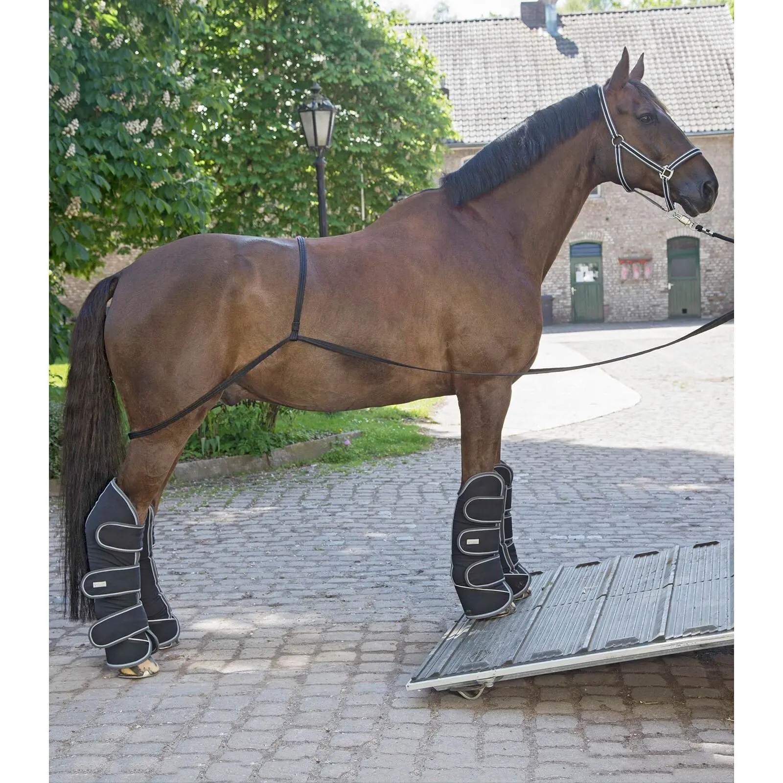 Comparer les prix de Rampe de chargement Waldhausen