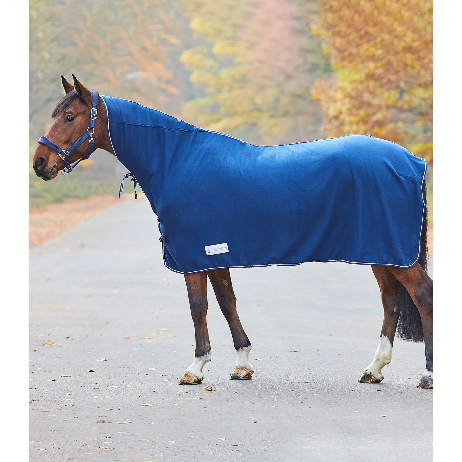 Comparer les prix de Chemise séchante pour cheval avec encolure Waldhausen Economic