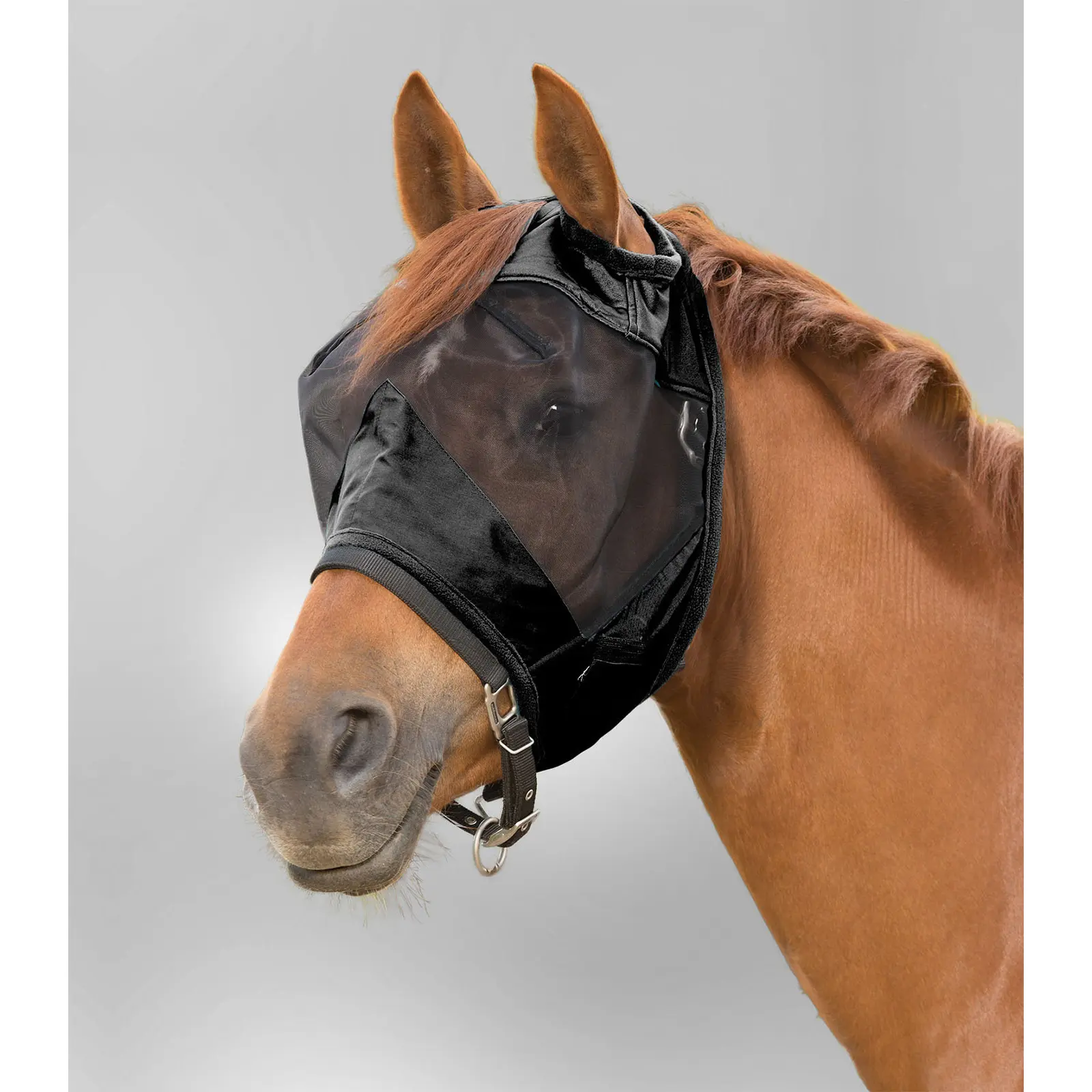 Waldhausen Noir Horse Fly Mask Without Ear Protection Premium