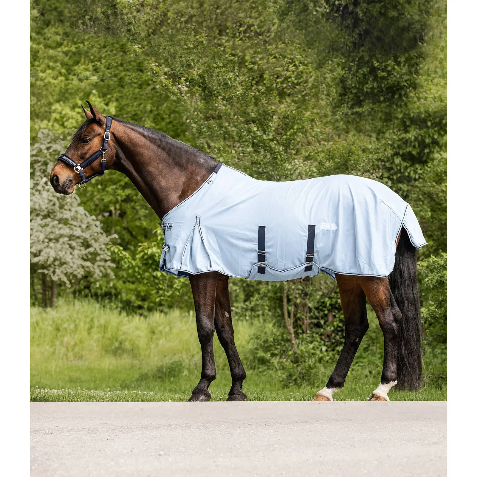 Couverture anti-mouches pour cheval Waldhausen Protect