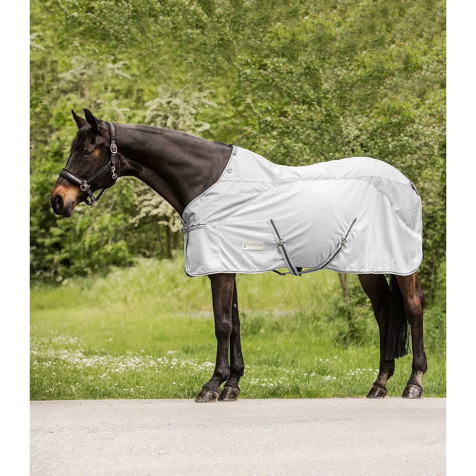 Waldhausen Gris Fly Blanket For Horses Protect 0G