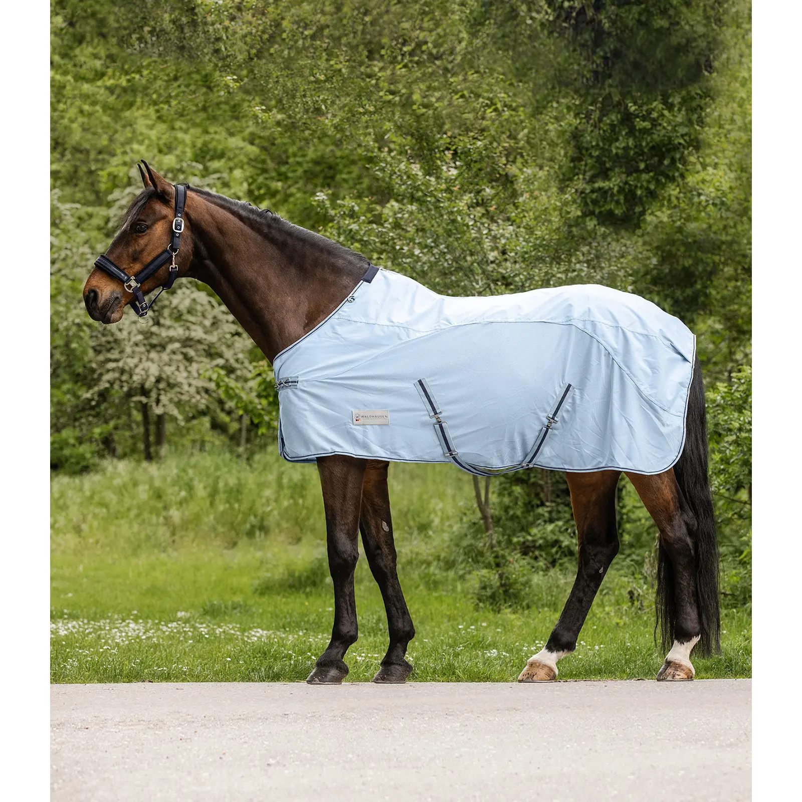 Waldhausen Bleu Fly Blanket For Horses Protect 0G