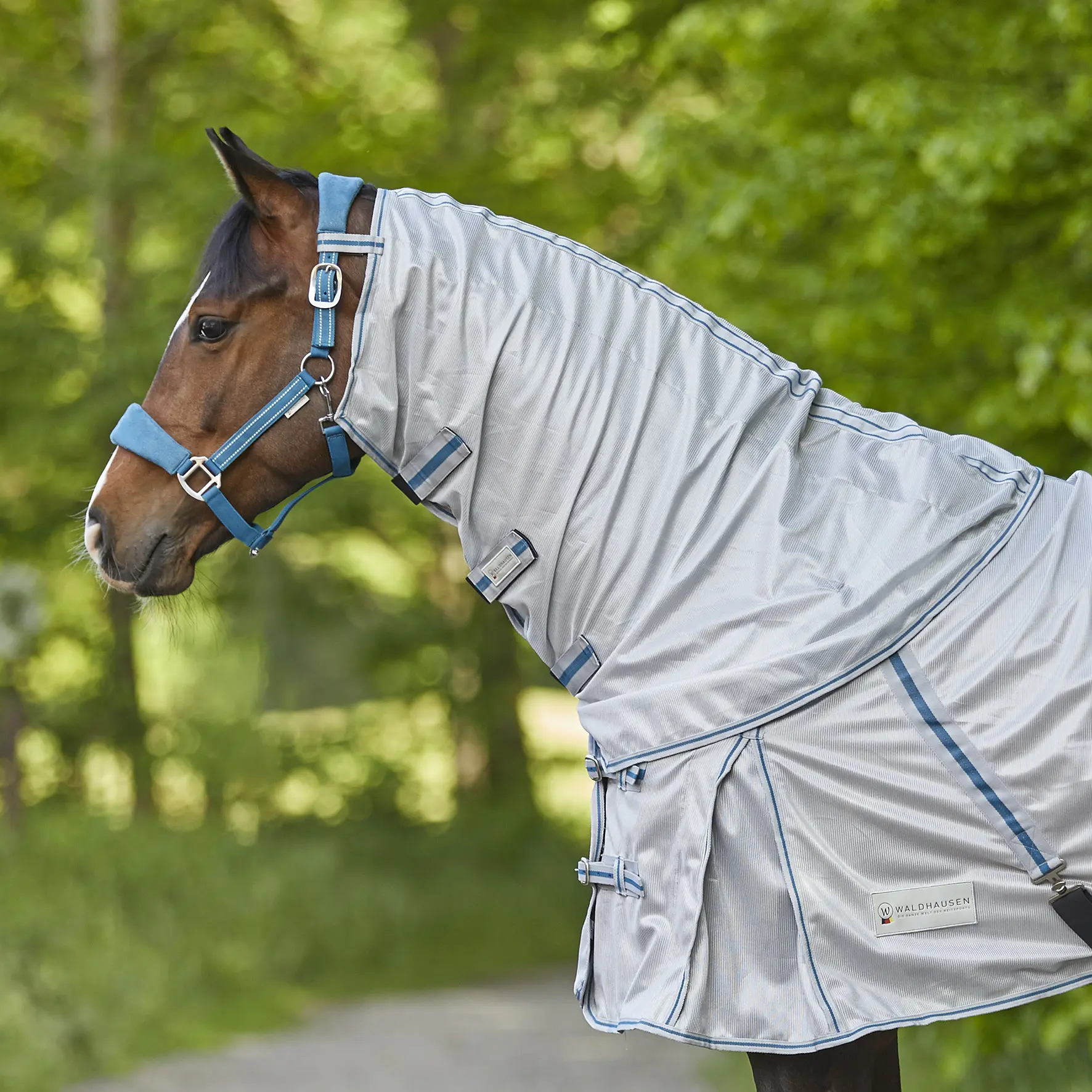 Comparer les prix de Couvre-cou pour cheval Waldhausen Protect