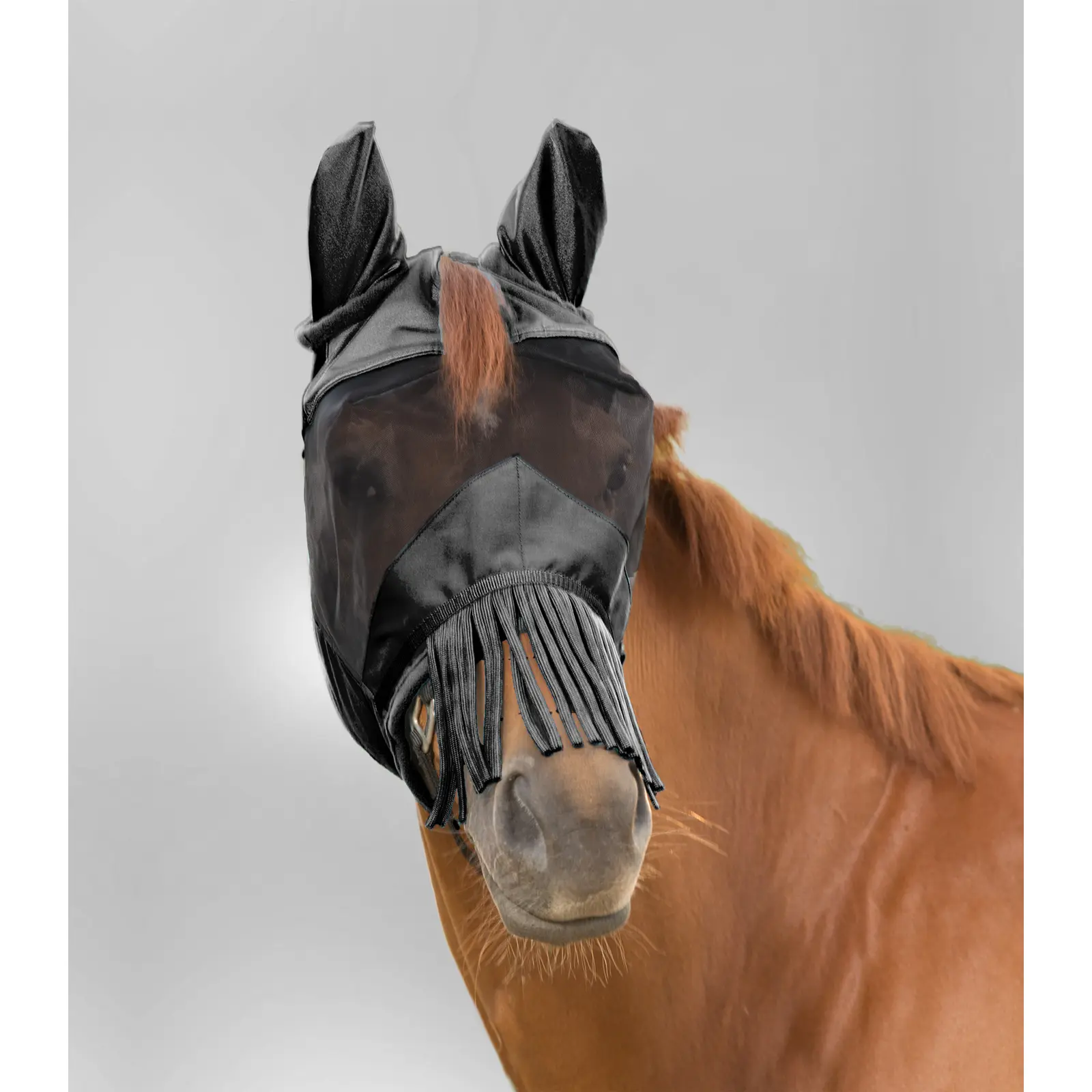 Waldhausen Noir Fly Mask For Horses With Ear And Muzzle Protection Premium
