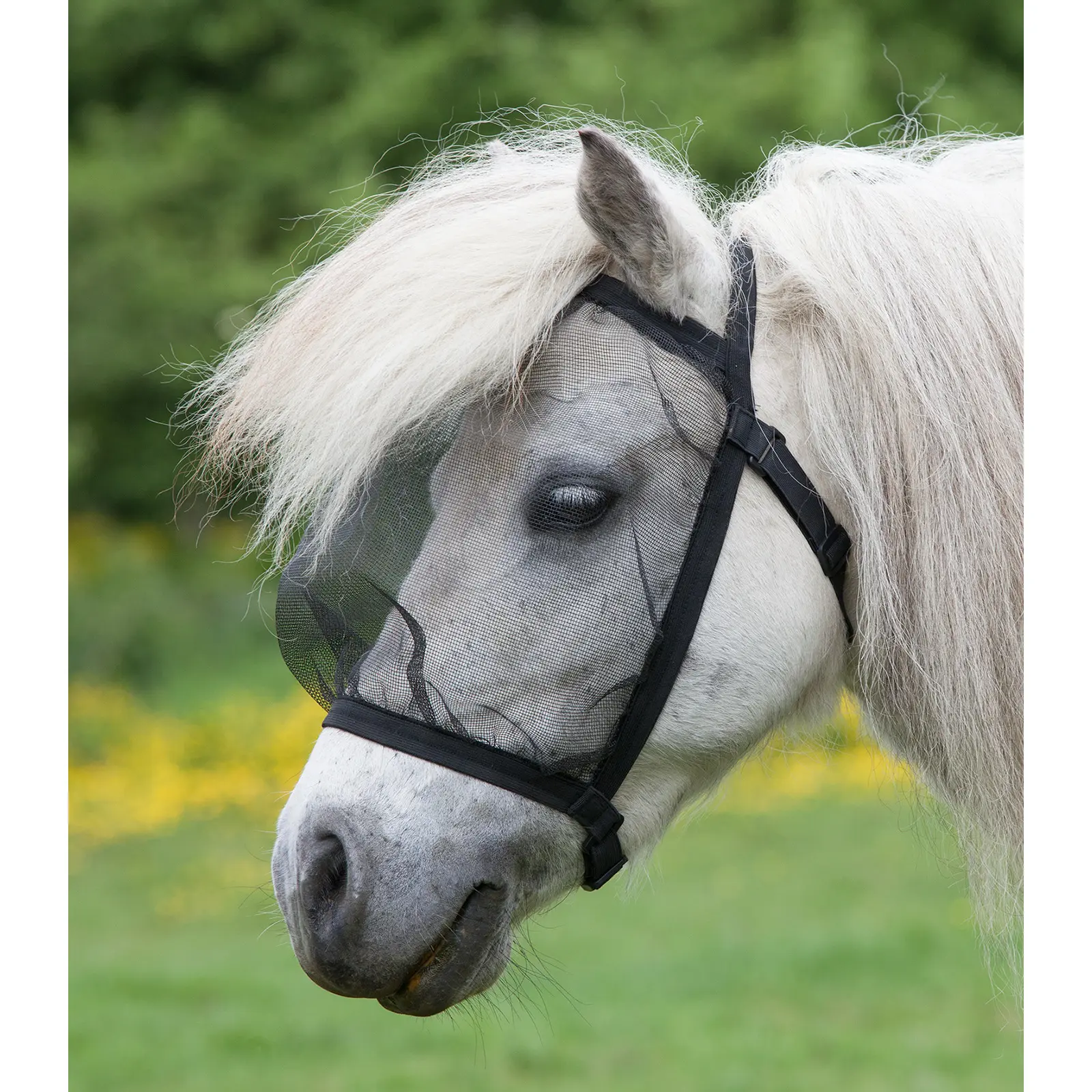 Waldhausen Noir Fly Mask For Horses Without Ears Basic