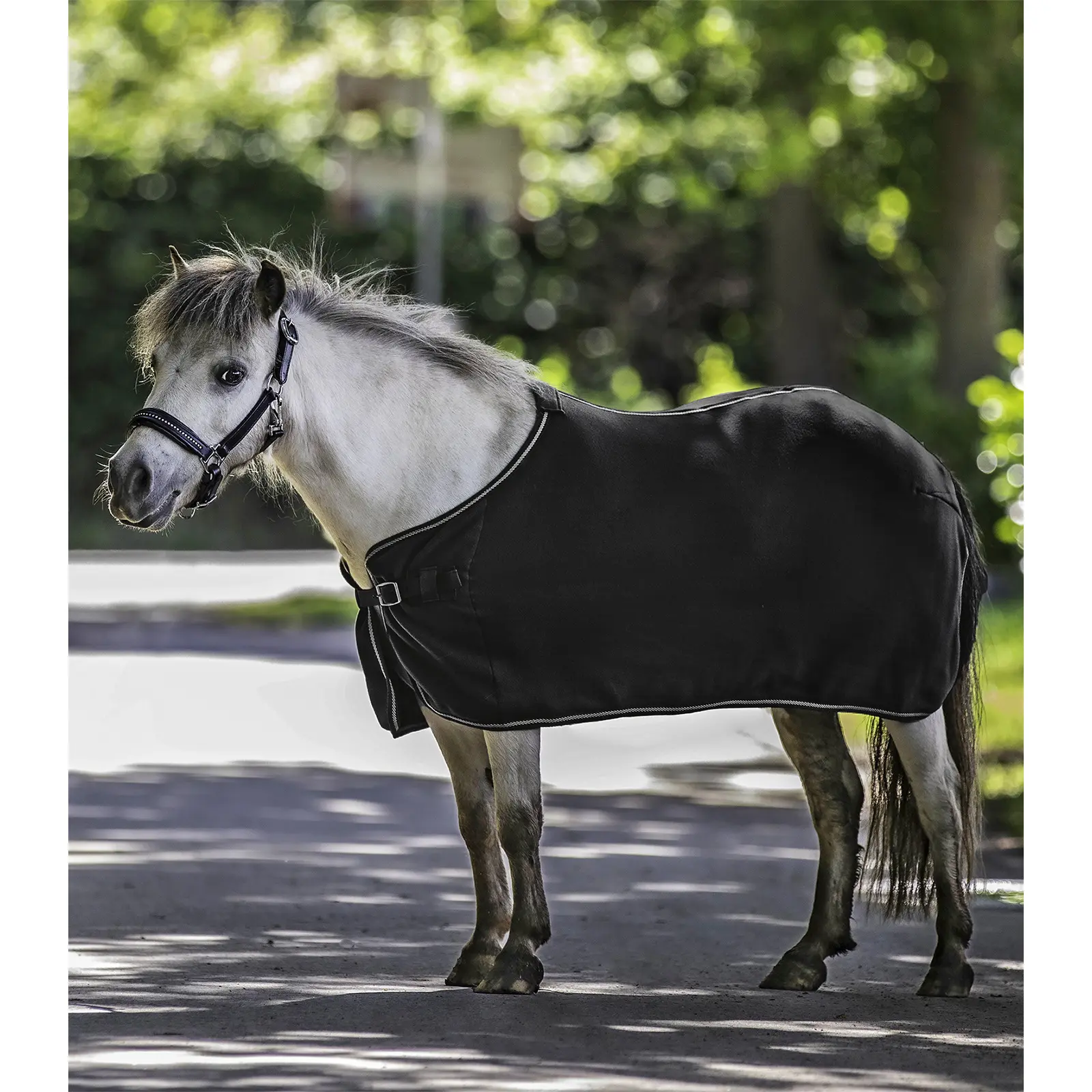 Meilleurs prix pour Polaire pour cheval Waldhausen Economic