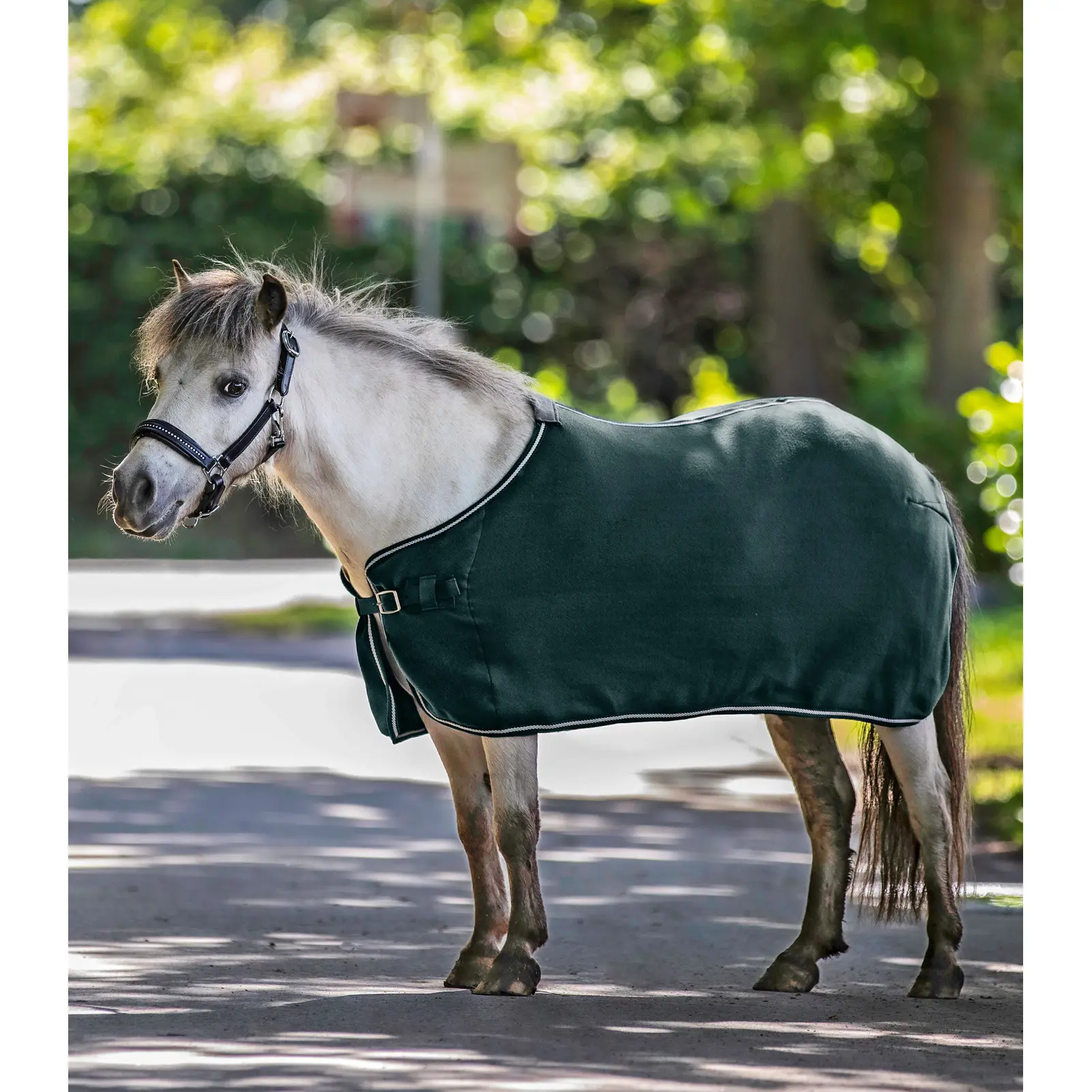 Waldhausen Vert Fleece Blanket Economic