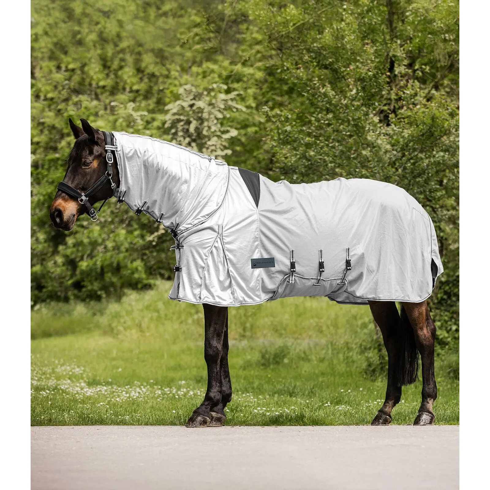 Waldhausen Gris Horse Fly Blanket And Anti-Eczema Protect