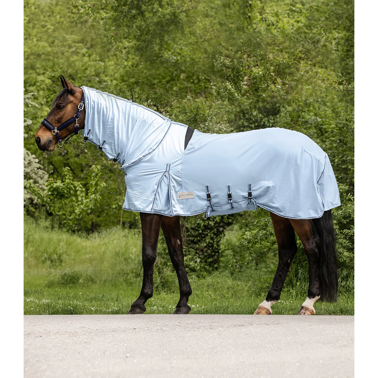Waldhausen Bleu Horse Fly Blanket And Anti-Eczema Protect