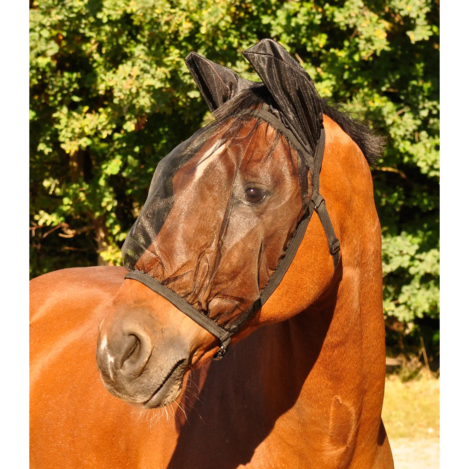 Waldhausen Noir Fly Mask For Horses With Ear Protection Basic
