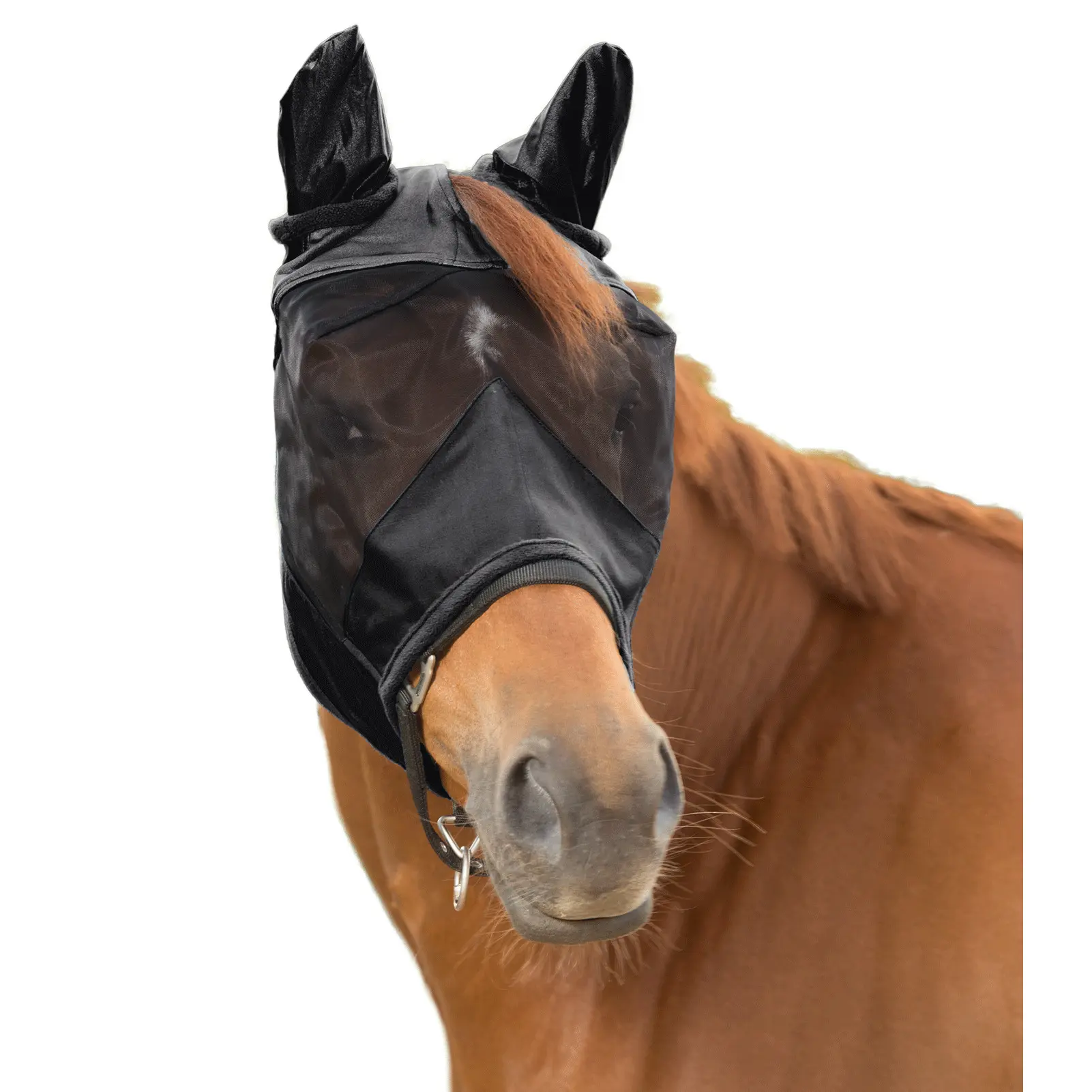 Meilleurs prix pour Masque anti-mouches pour cob Waldhausen Premium