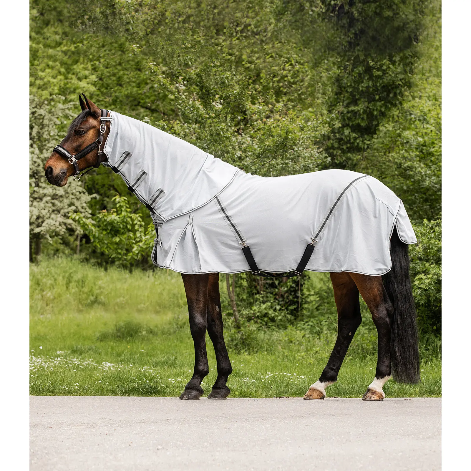 Meilleurs prix pour Couverture anti-mouches pour cheval avec encolure amovible Waldhausen Protect