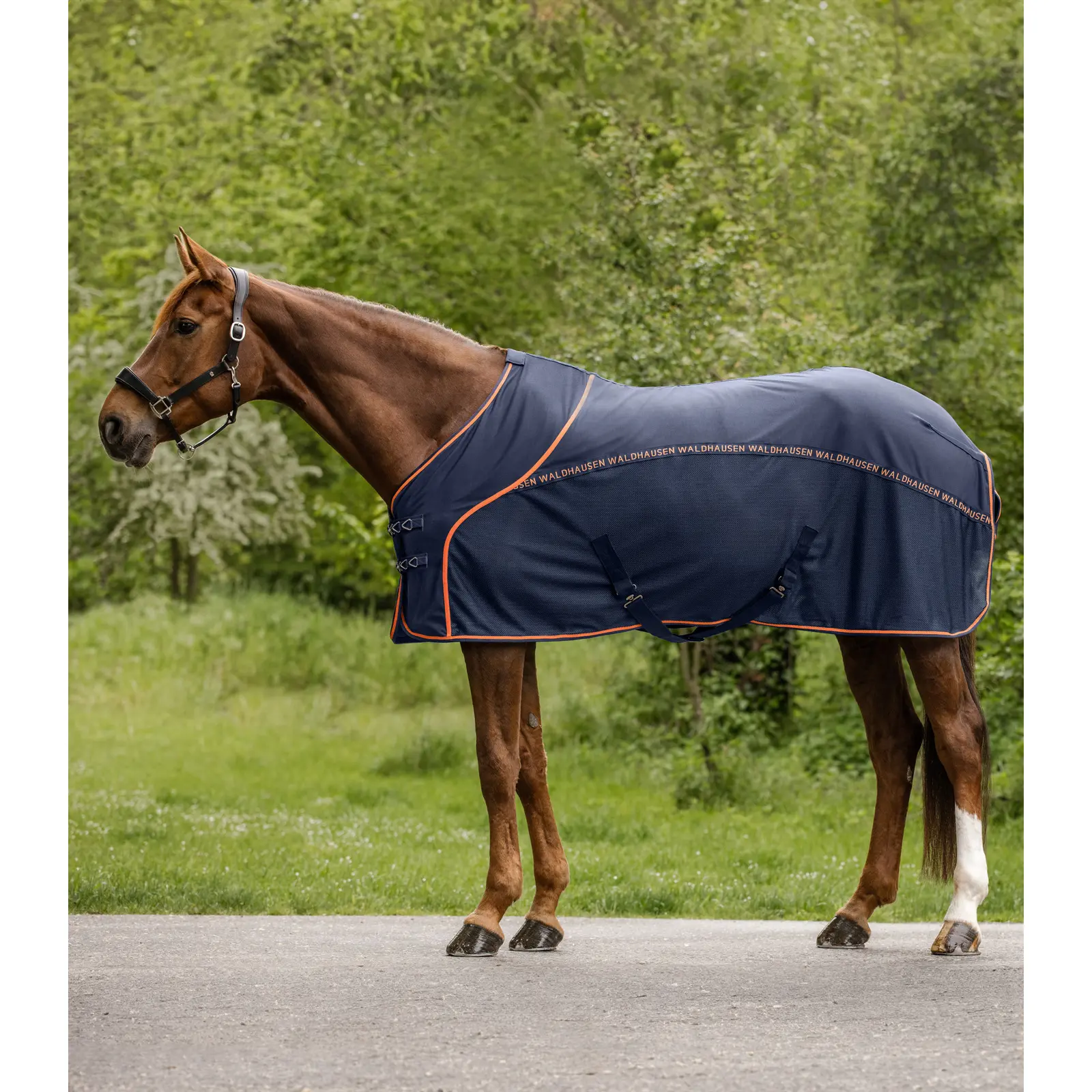 Meilleurs prix pour Couverture anti-mouches pour cheval d’été Waldhausen Cooler