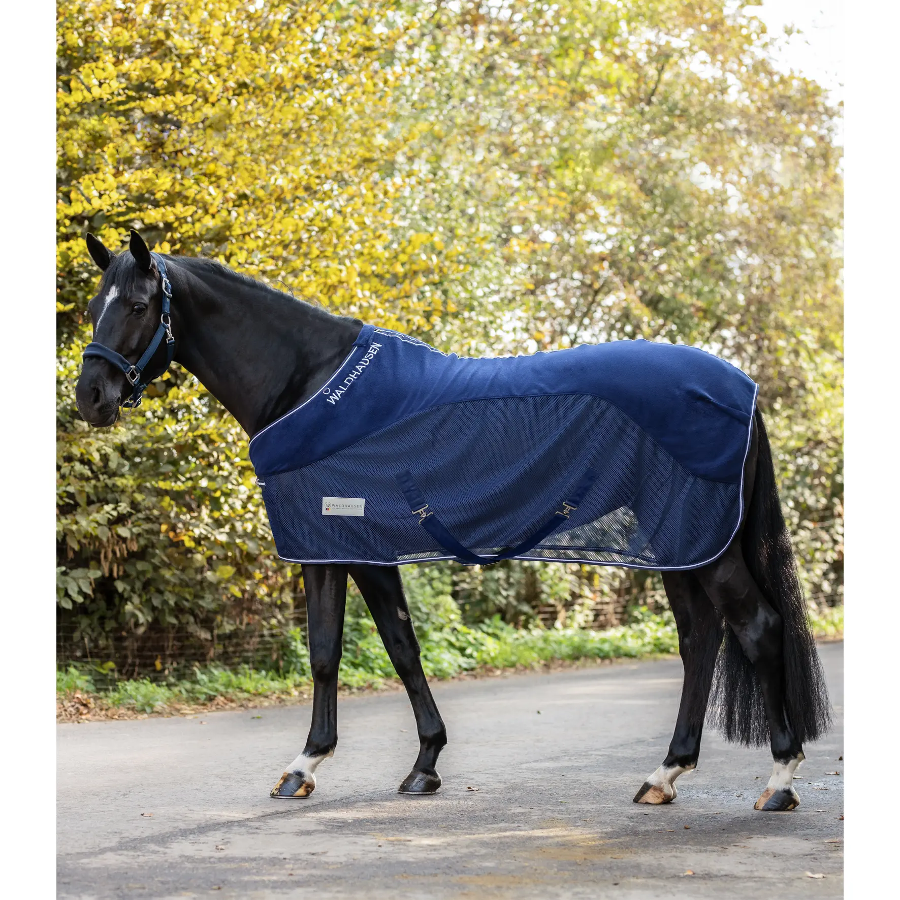 Comparer les prix de Couverture anti-mouches pour cheval en polaire Waldhausen Comfort