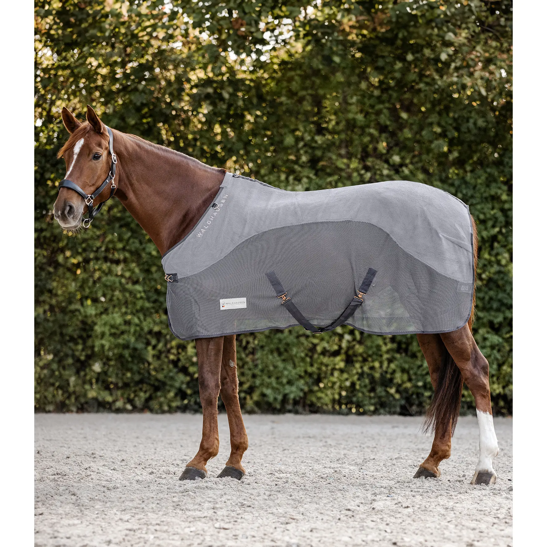 Waldhausen Gris Fleece Fly Blanket For Horse Comfort