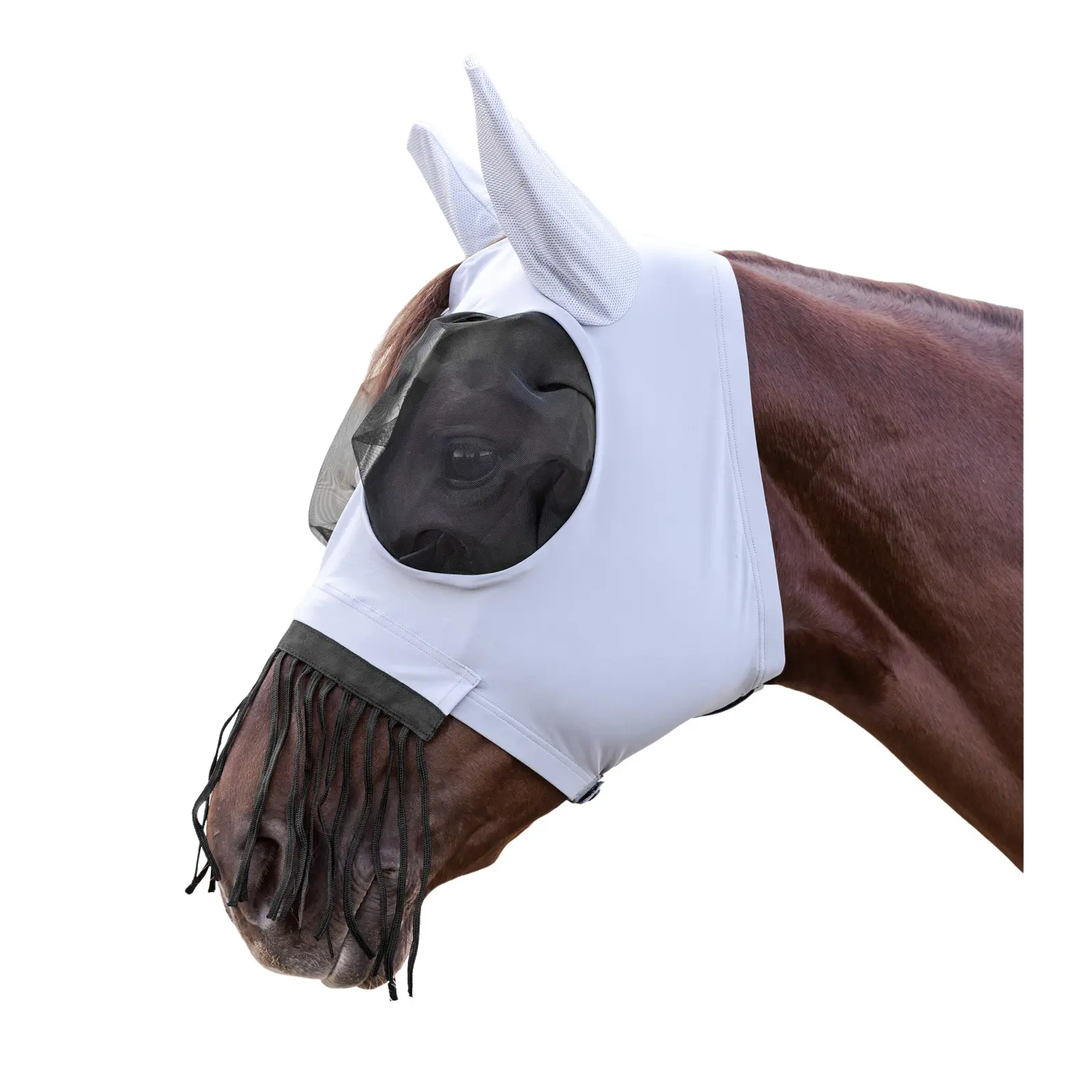 Waldhausen Gris Horse Fly Mask With Nose Fringes Puck