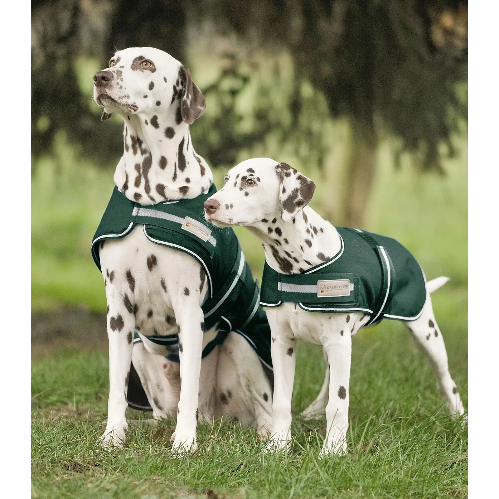 Meilleurs prix pour Imperméable pour chien Waldhausen