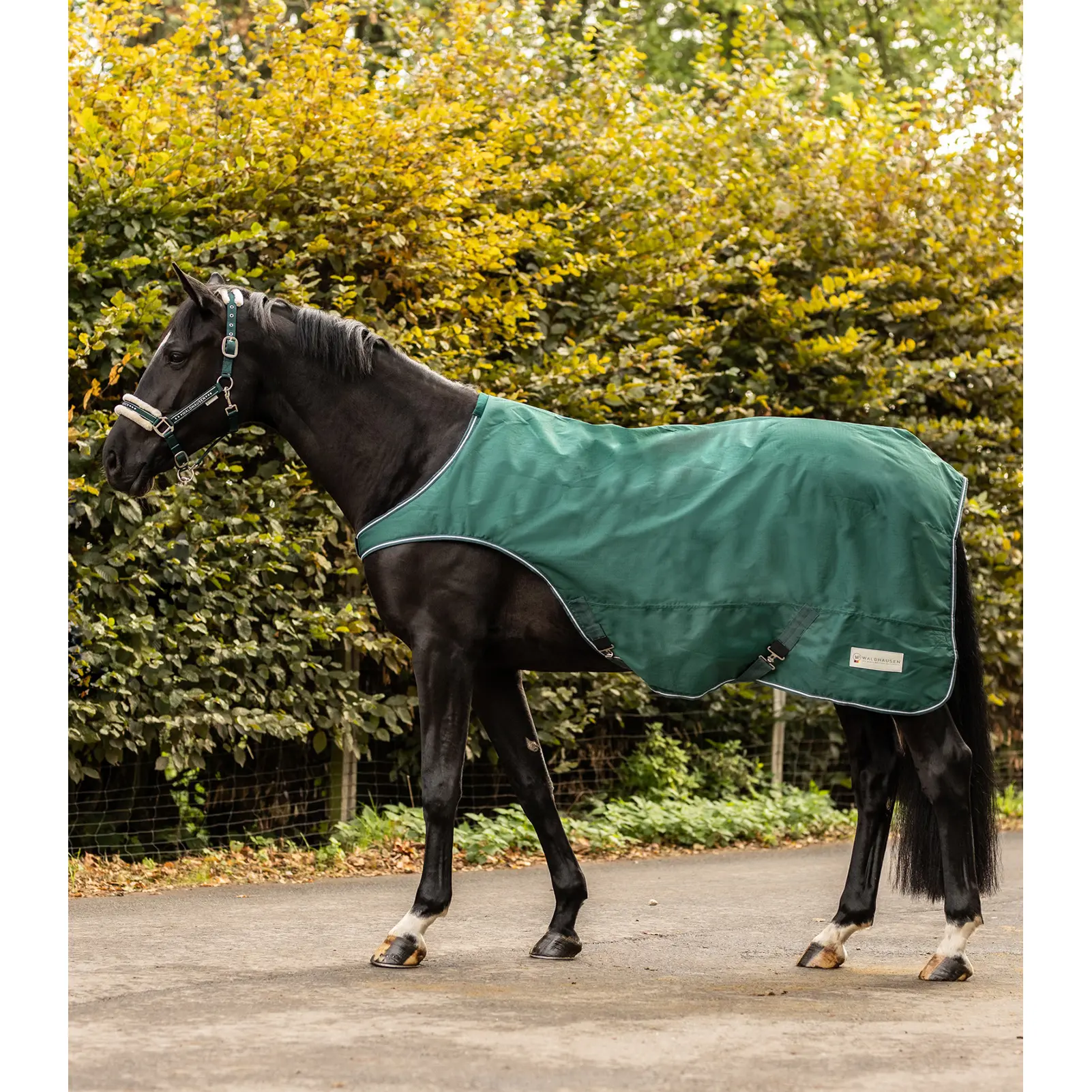 Waldhausen Vert Walker Blanket Comfort