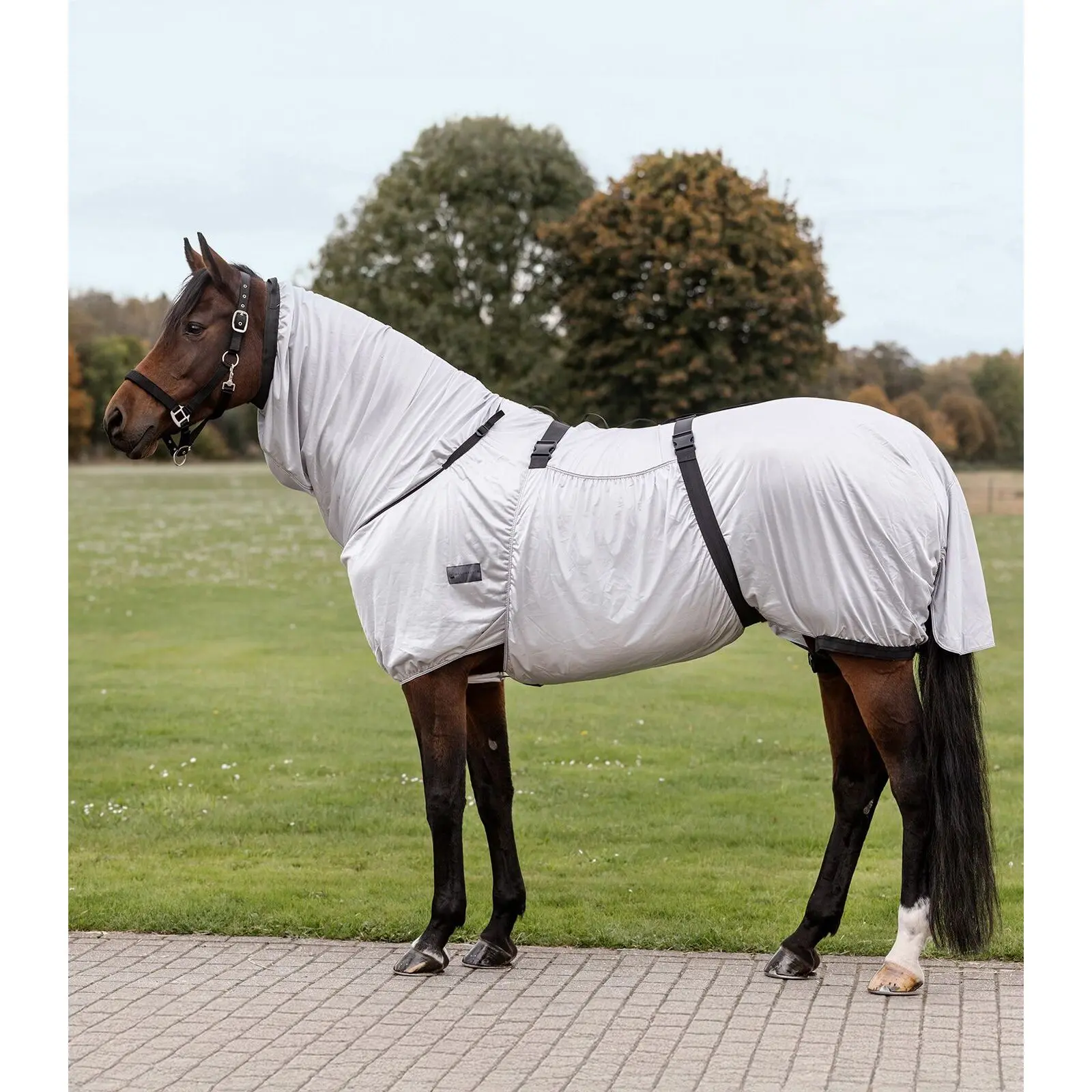 Comparer les prix de Couverture anti-mouches pour cheval Waldhausen Basic