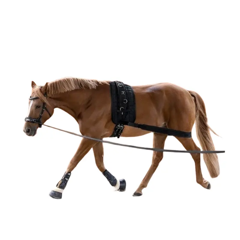 Bandage élastique pour cheval Waldhausen Corporel