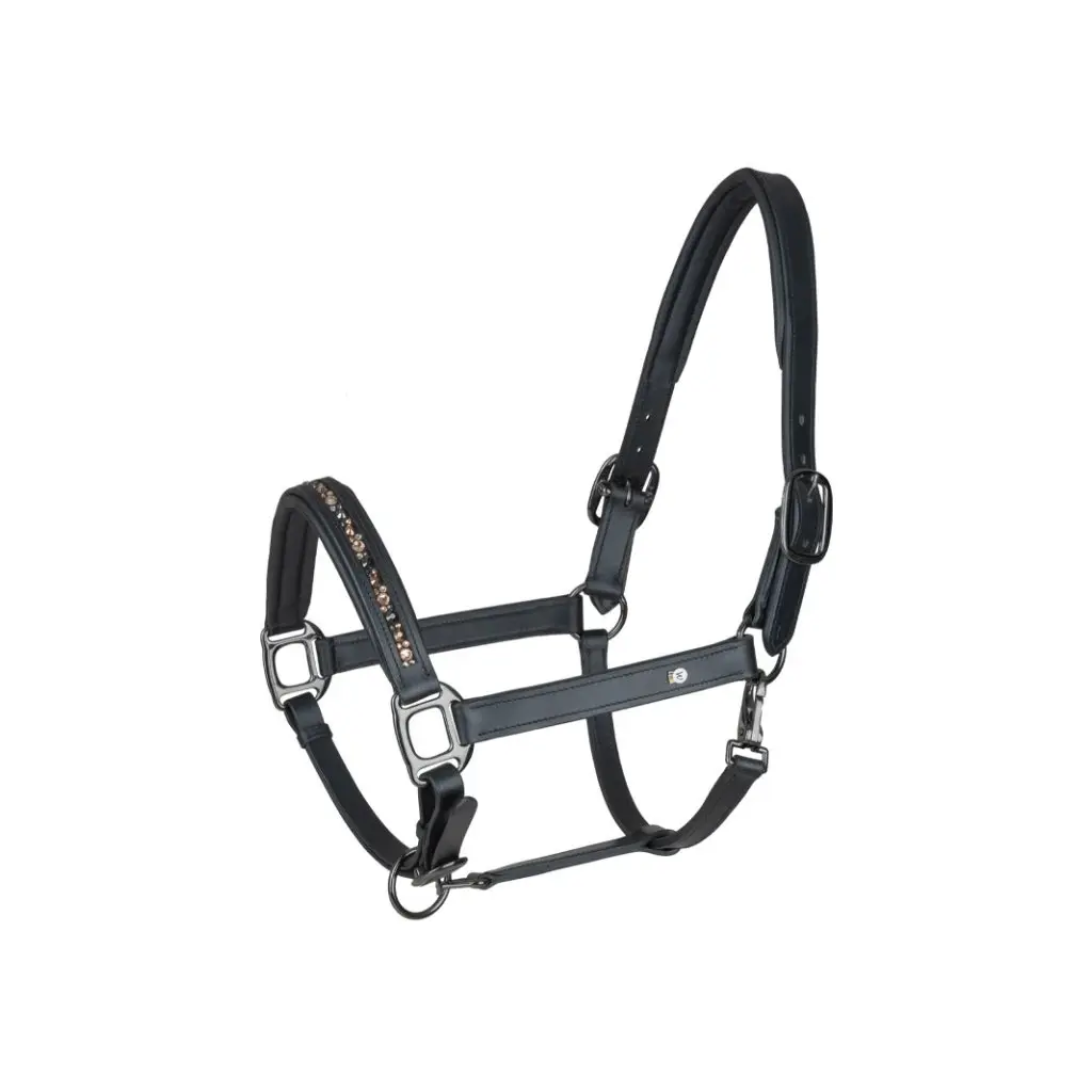 Meilleurs prix pour Licol pour cheval en cuir Waldhausen Crystal