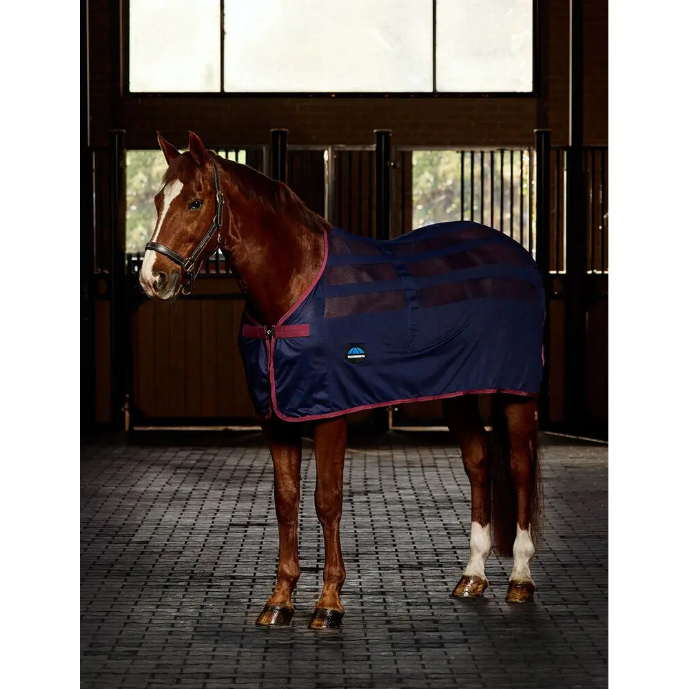 Couverture séchante pour cheval Weatherbeeta Scrim Cooler Standard