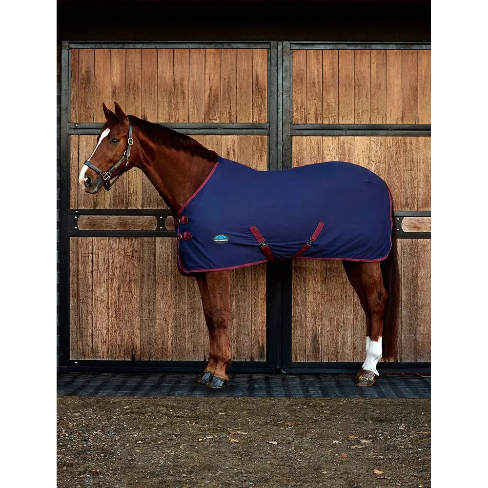 Comparer les prix de Chemise pour cheval Weatherbeeta