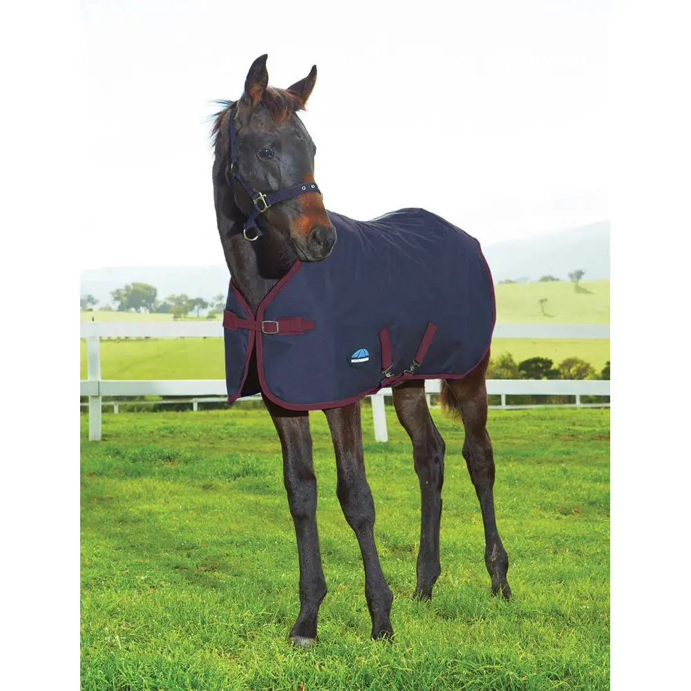 Meilleurs prix pour Couverture d'extérieur pour cheval Weatherbeeta 220 g