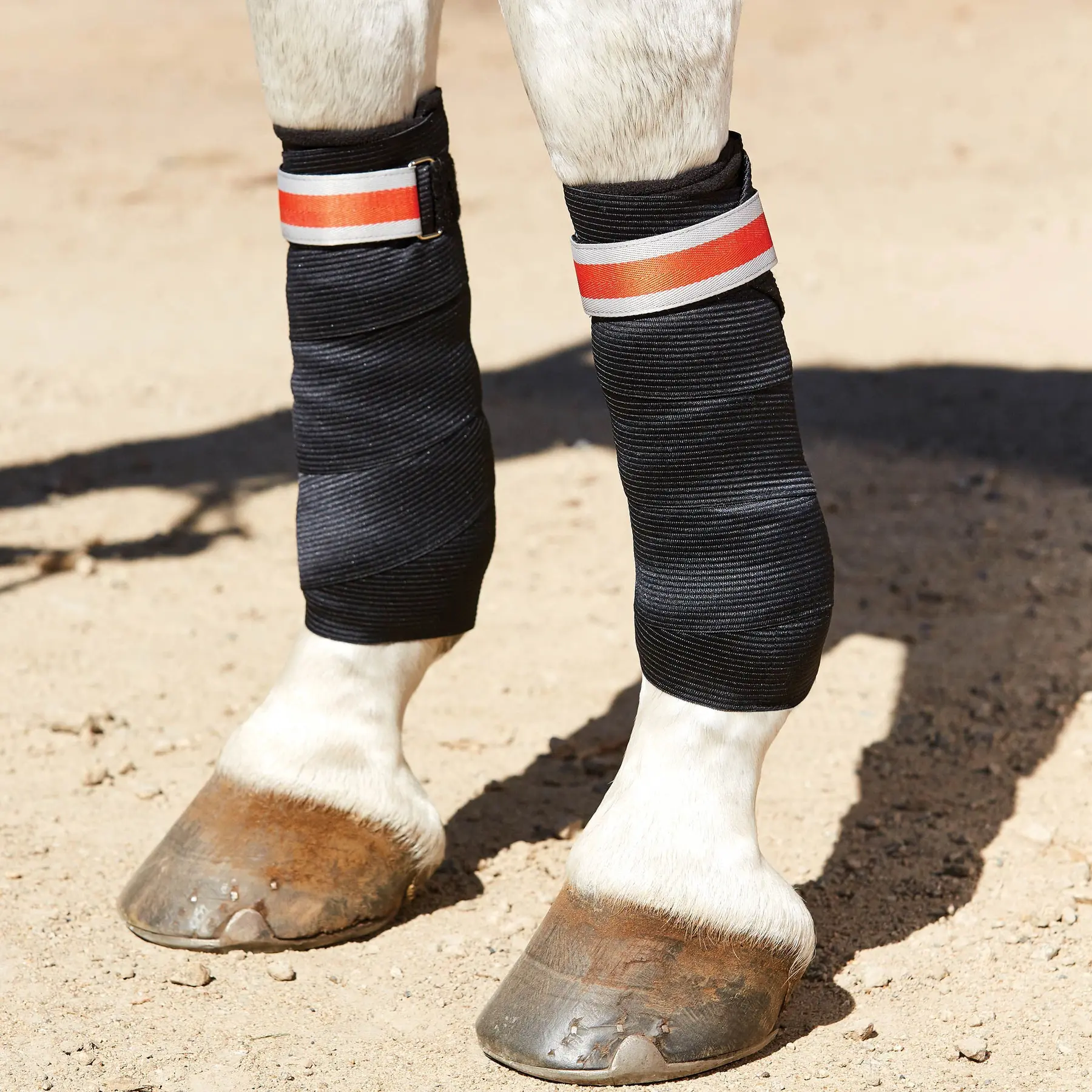 Meilleurs prix pour Lot de 2 bandes de maintien élastique pour cheval Weatherbeeta Therapy-Tec