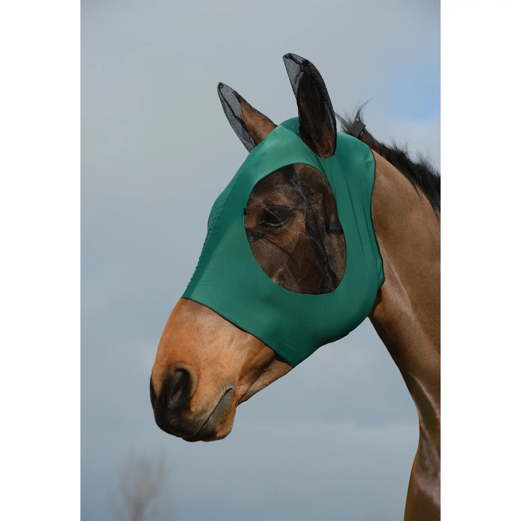 Weatherbeeta Vert Stretch Fly Mask For Horse Eyes And Ears Bug